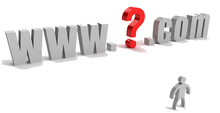 domain name search